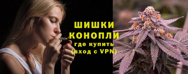 прущая мука Дмитриев